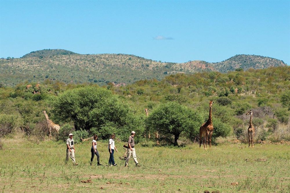 Melorane Madikwe Safari Lodge מראה חיצוני תמונה