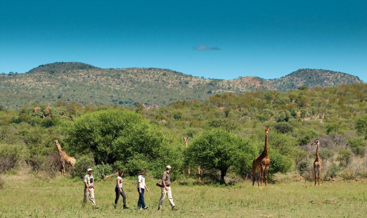 Melorane Madikwe Safari Lodge מראה חיצוני תמונה