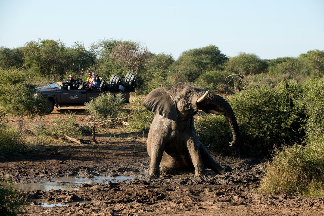 Melorane Madikwe Safari Lodge מראה חיצוני תמונה